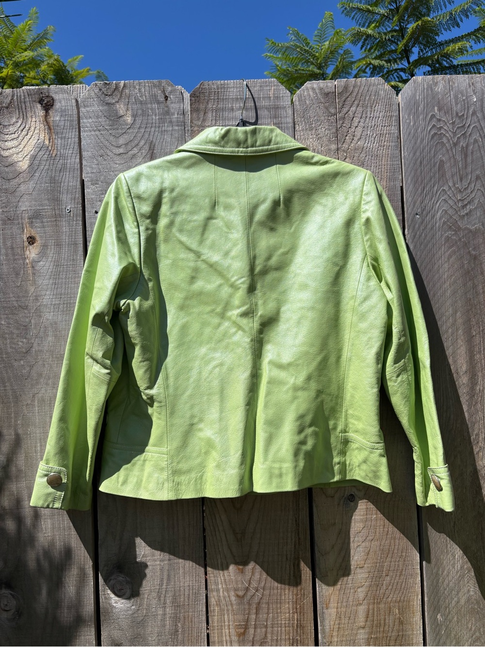 Jacket - Picture 5 of 7